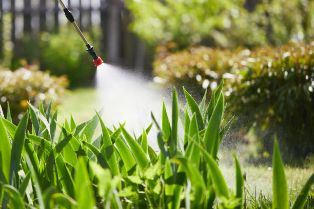 24/7 Emergency Mosquito Control experts in Altoona, AL